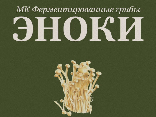 [Мария Сочилкина] [fermentinwonderland.ru] Ферментированные грибы эноки (2024)