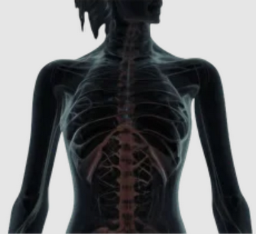 [Александр Волоткевич] Торчащие ребра: биомеханика, тестирование и коррекция (2025)