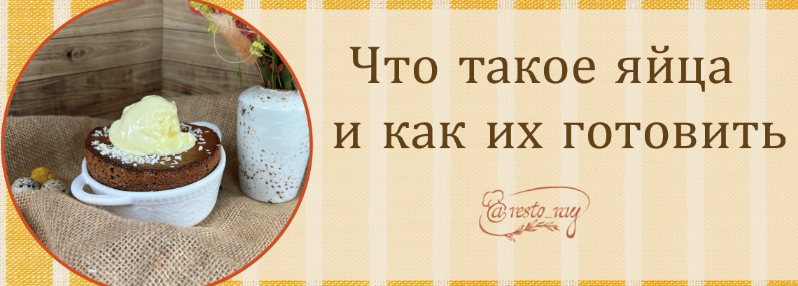 [Анна Рей] Что такое яйца и как их готовить (2023)