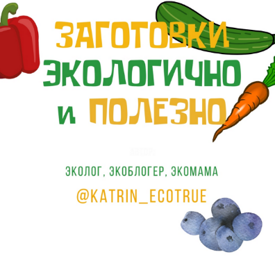[Екатерина katrin_ecotrue] Заготовки экологично и полезно (2022)