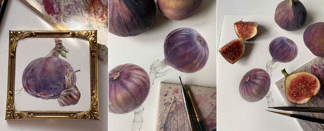 [Светлана Лансе] [lectoroom] Инжир акварелью (2024)