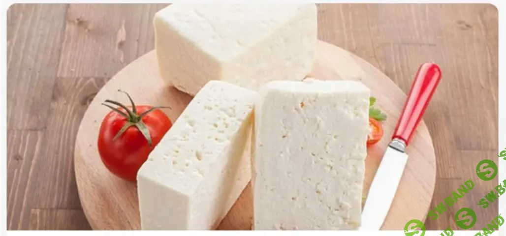 [Школа Куртинских, Павел Куртинский, Елена Куртинская] Брынза (2023)