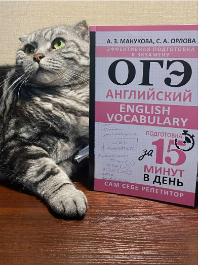 [Светлана Орлова, Аида Манукова] [Англомастер] Лексика для ОГЭ. Интерактивный курс (2025)